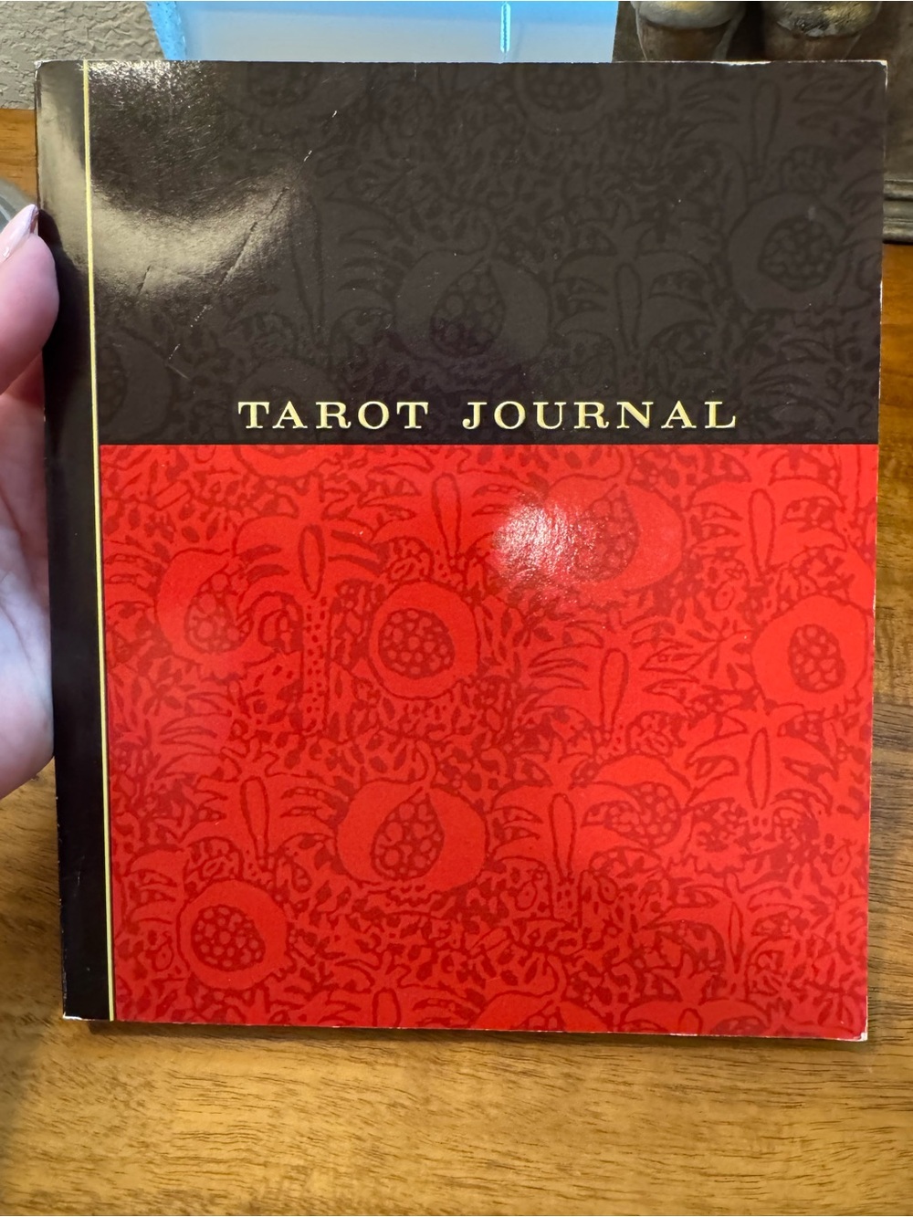 Rare Susan Levitt Tarot Journal 2003 2nd Edition U.S. Games Unused Workbook